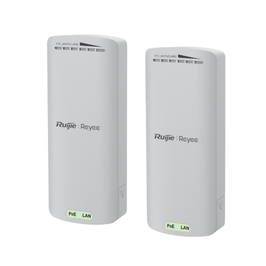 BRIDGE EXTERIOR IP55 500M DUAL BAND